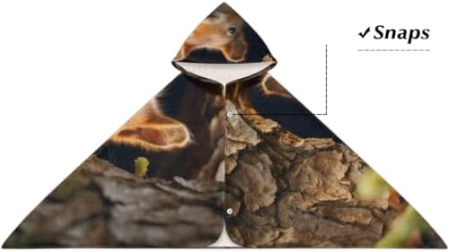 Pardick Kids Bath Towel Squirrel Hooded Pool Cover Up for Toddlers