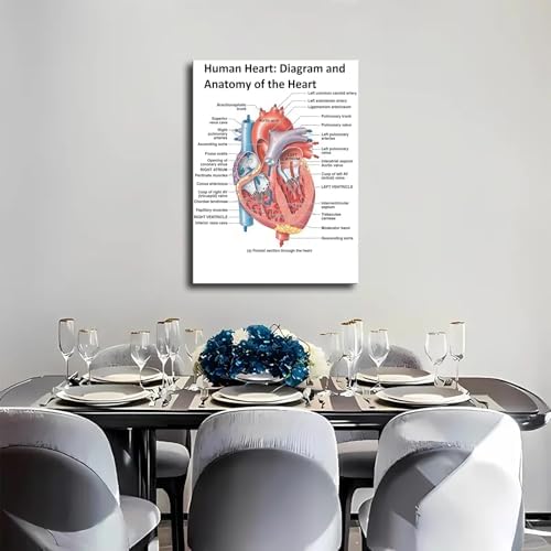 Heart Anatomy Poster Canvas Wall Art Print Framed 12x16inch