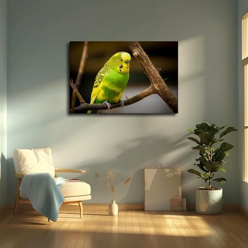 Cute Bird Parakeet Parrot Wall Art Poster Canvas Print Framed 20x30inch