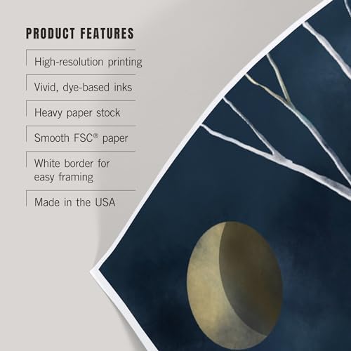 Lantern Press 8x12 Art Print Winter Night Sky