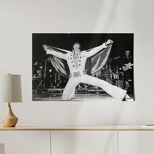 Desert Cactus Elvis Presley Poster 24x36