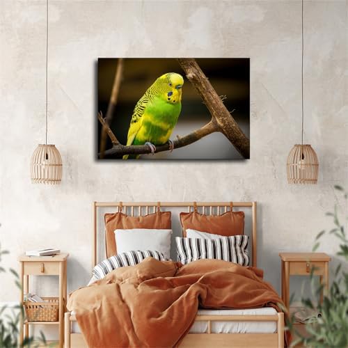 Cute Bird Parakeet Parrot Wall Art Poster Canvas Print Framed 20x30inch