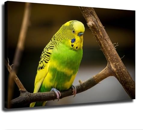 Cute Bird Parakeet Parrot Wall Art Poster Canvas Print Framed 20x30inch