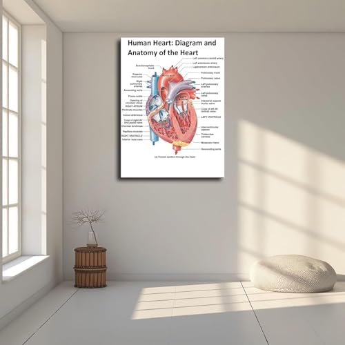 Heart Anatomy Poster Canvas Wall Art Print Framed 12x16inch