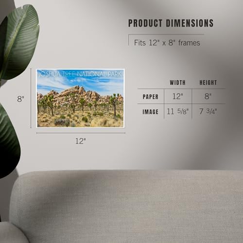 Lantern Press 8x12 Art Print of Joshua Tree National Park 1