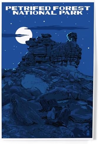 Lantern Press 8x12 Art Print Petrified Forest Night Sky