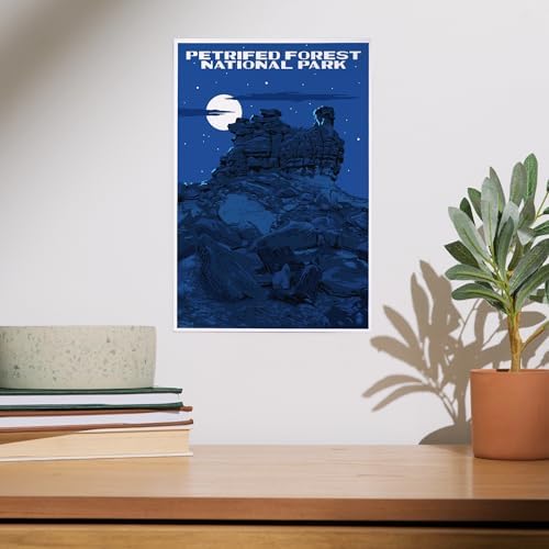 Lantern Press 8x12 Art Print Petrified Forest Night Sky
