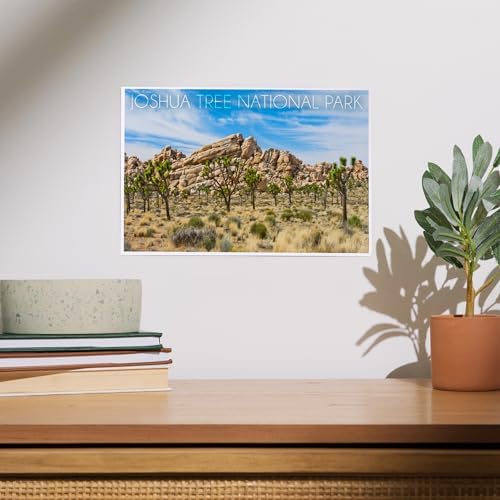 Lantern Press 8x12 Art Print of Joshua Tree National Park 1