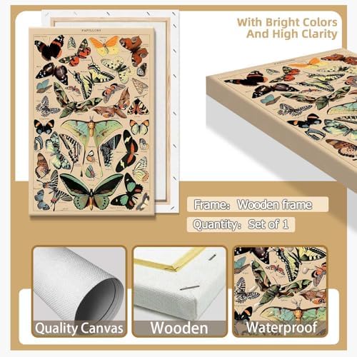 North American Butterfly Atlas Framed Poster 12x16in