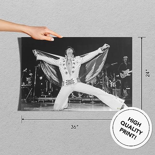 Desert Cactus Elvis Presley Poster 24x36