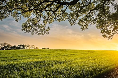 Generic Deep Horizon Green Eden Pasture Canvas Wall Art