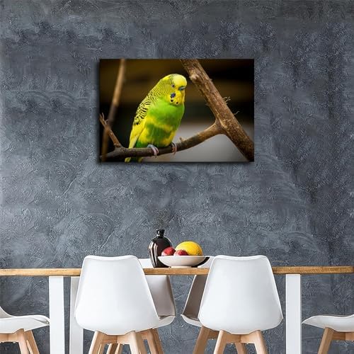 Cute Bird Parakeet Parrot Wall Art Poster Canvas Print Framed 20x30inch