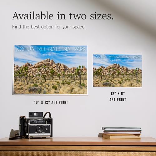 Lantern Press 8x12 Art Print of Joshua Tree National Park 1