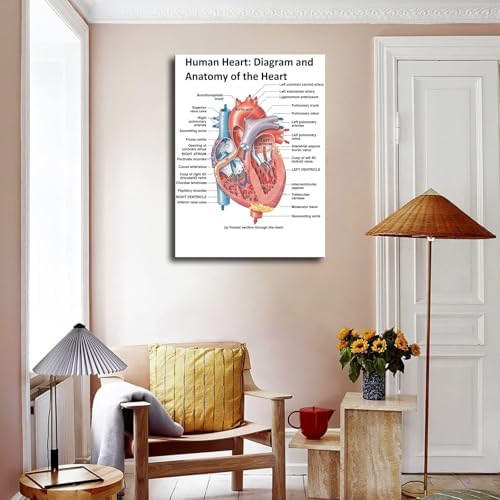 Heart Anatomy Poster Canvas Wall Art Print Framed 12x16inch