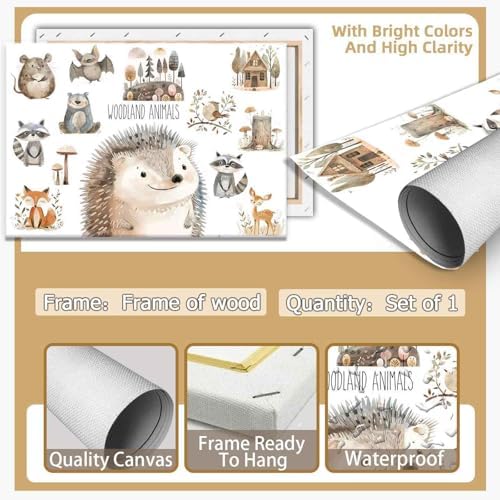 Woodland Animal Education Science Posters Framed 12x16in