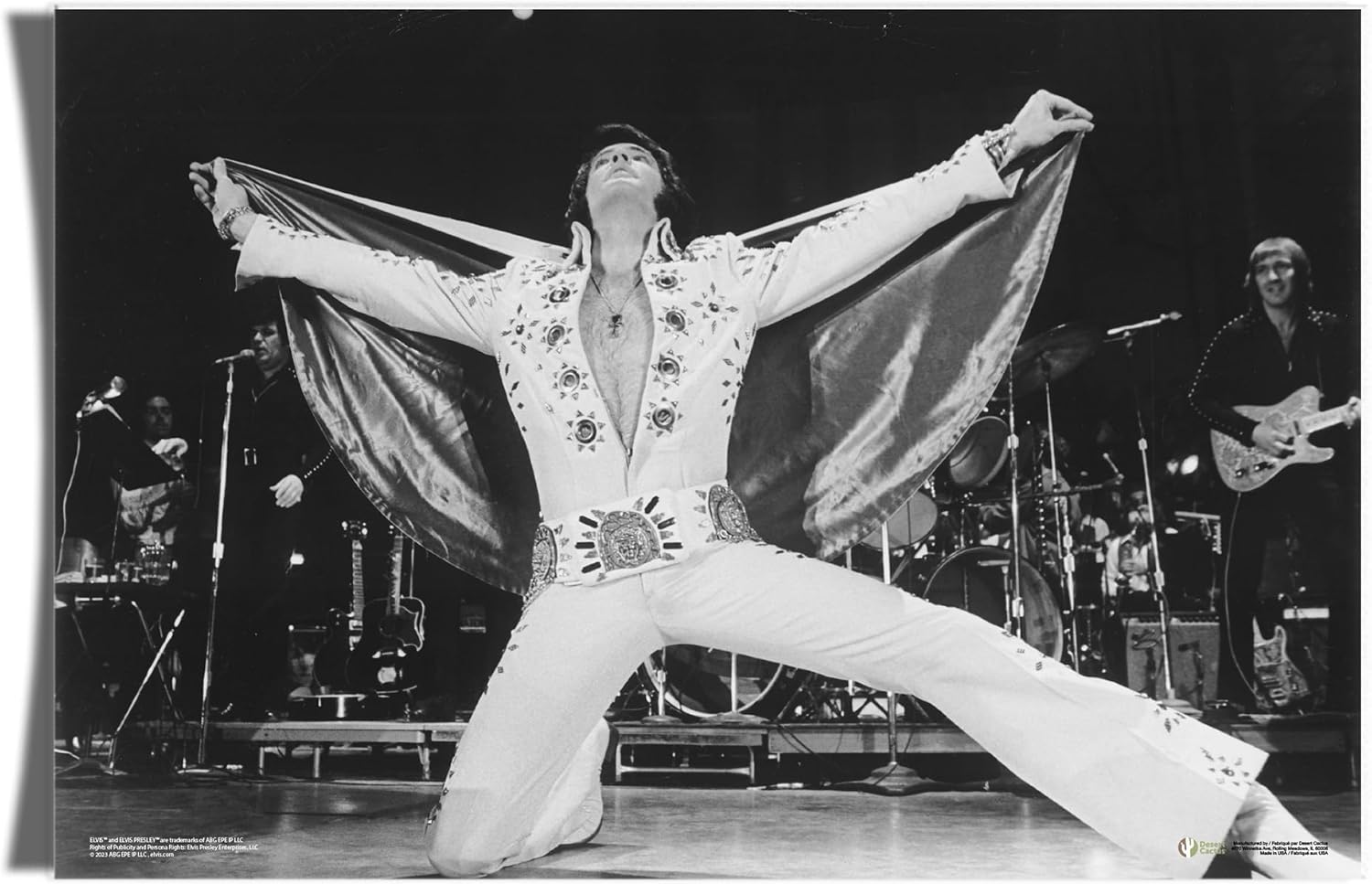 Desert Cactus Elvis Presley Poster 24x36