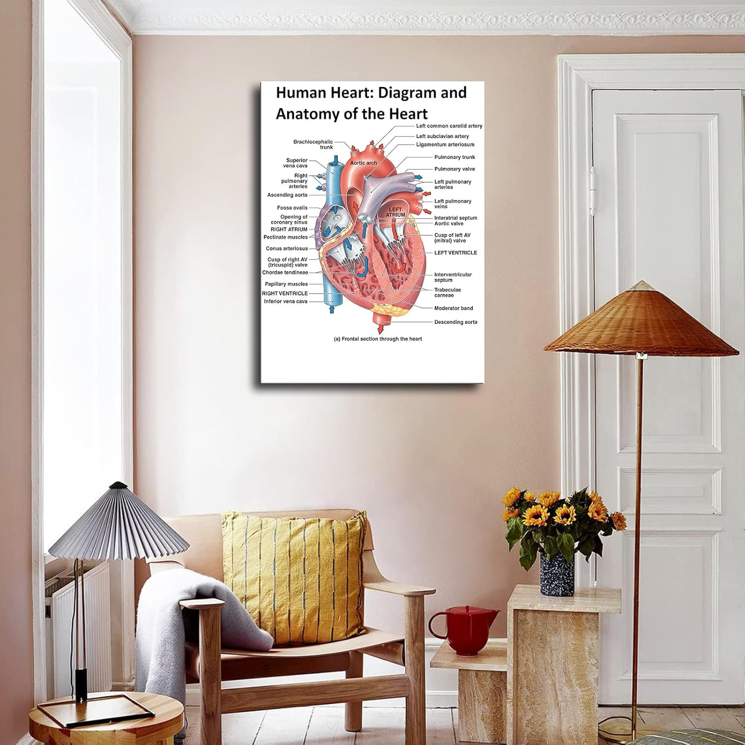 Heart Anatomy Poster Canvas Wall Art Print Framed 12x16inch