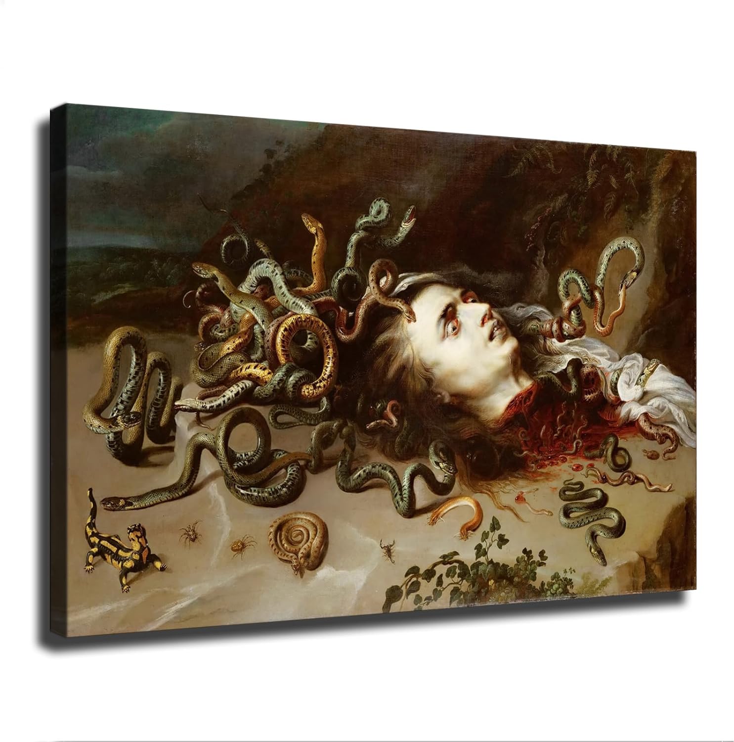 Head of Medusa Poster Canvas Wall Art Print Framed 12x18inch