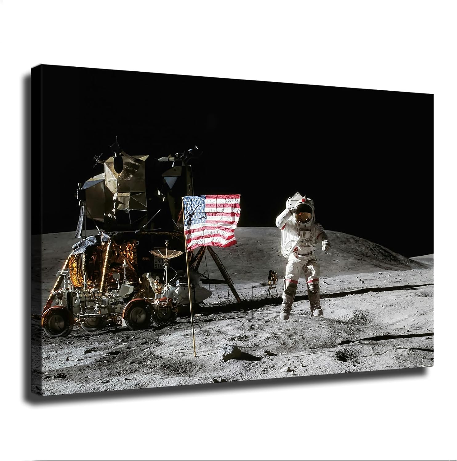 Apollo 11 Moon Landing Flag Saluting Poster Canvas