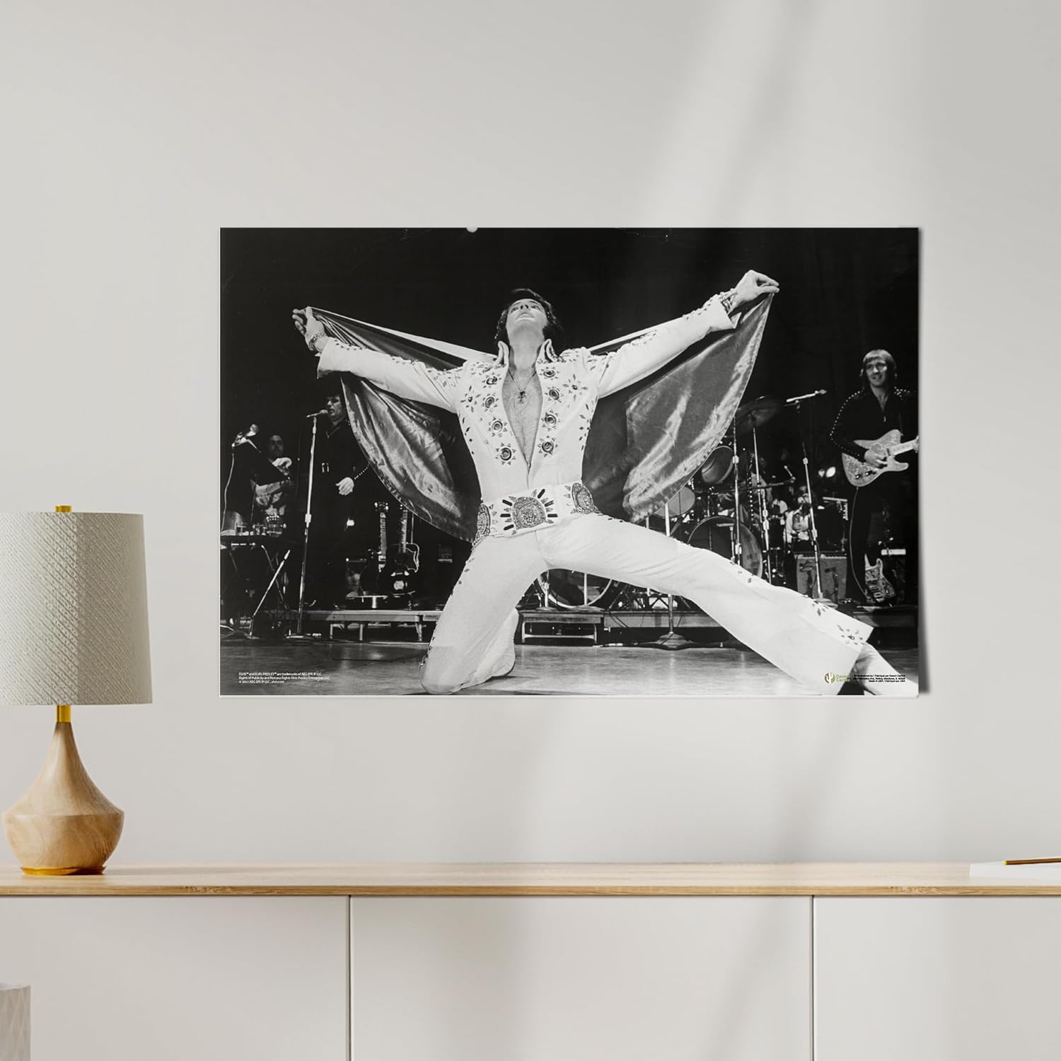 Desert Cactus Elvis Presley Poster 24x36