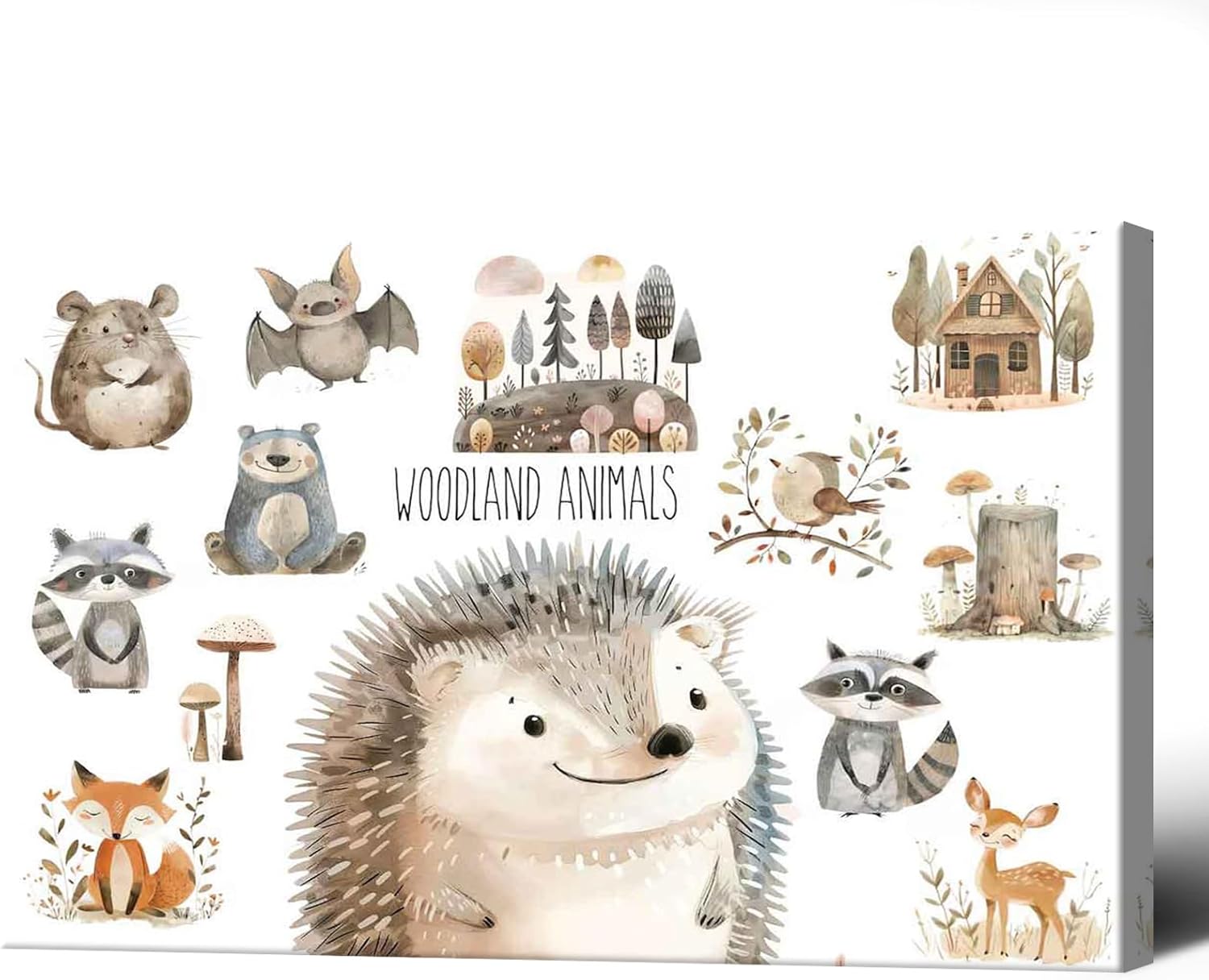 Woodland Animal Education Science Posters Framed 12x16in
