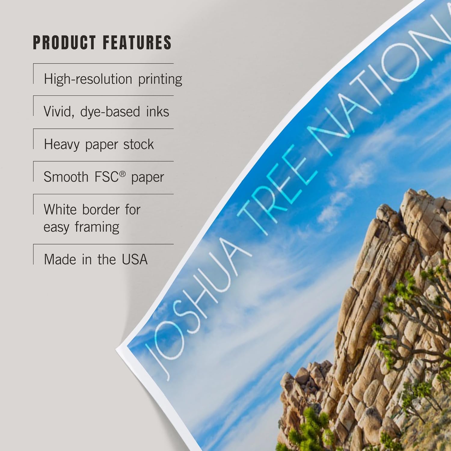 Lantern Press 8x12 Art Print of Joshua Tree National Park 1