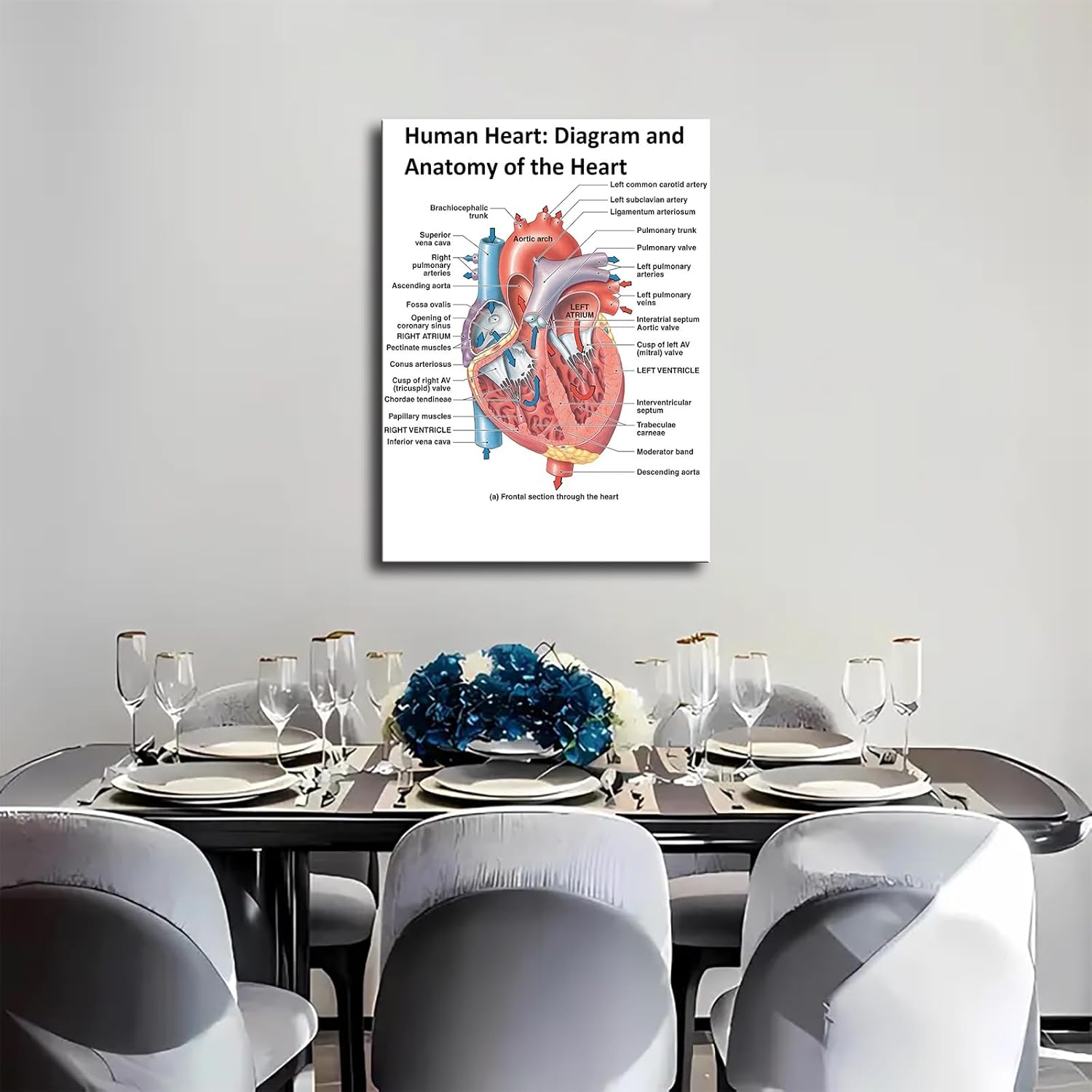 Heart Anatomy Poster Canvas Wall Art Print Framed 12x16inch