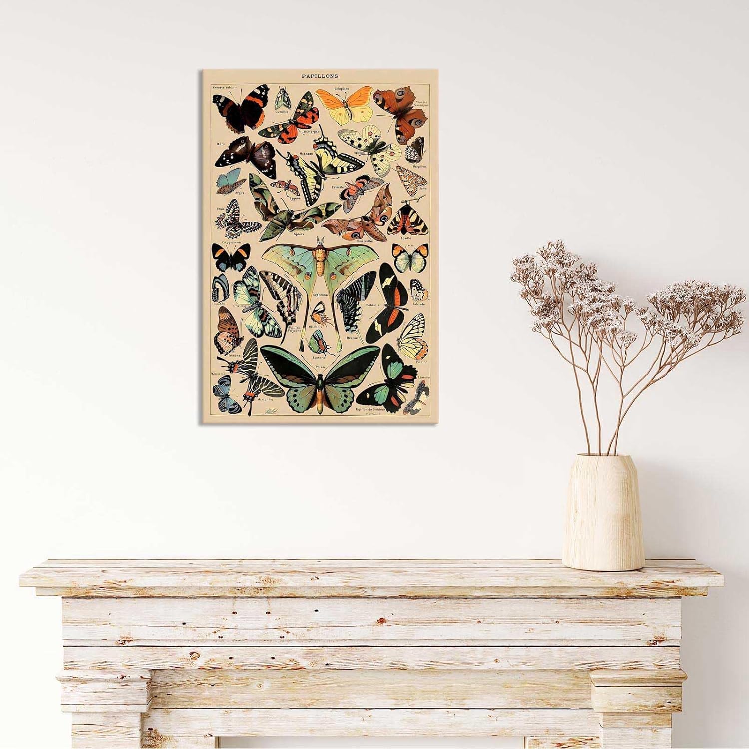 North American Butterfly Atlas Framed Poster 12x16in