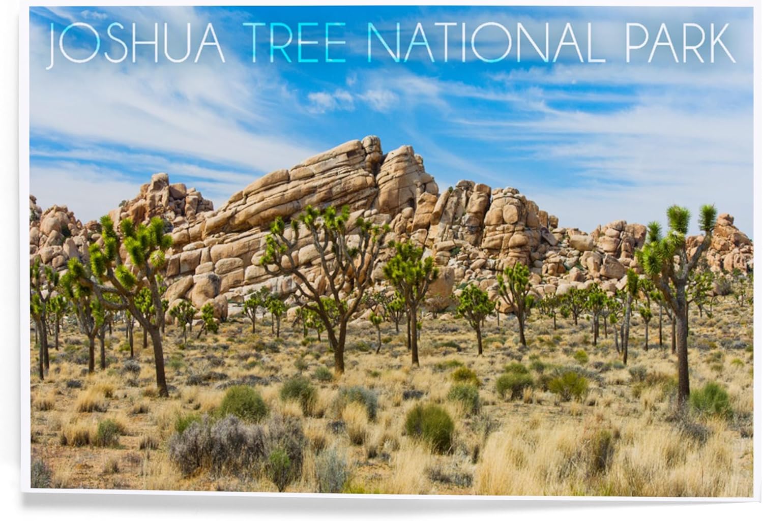 Lantern Press 8x12 Art Print of Joshua Tree National Park 1