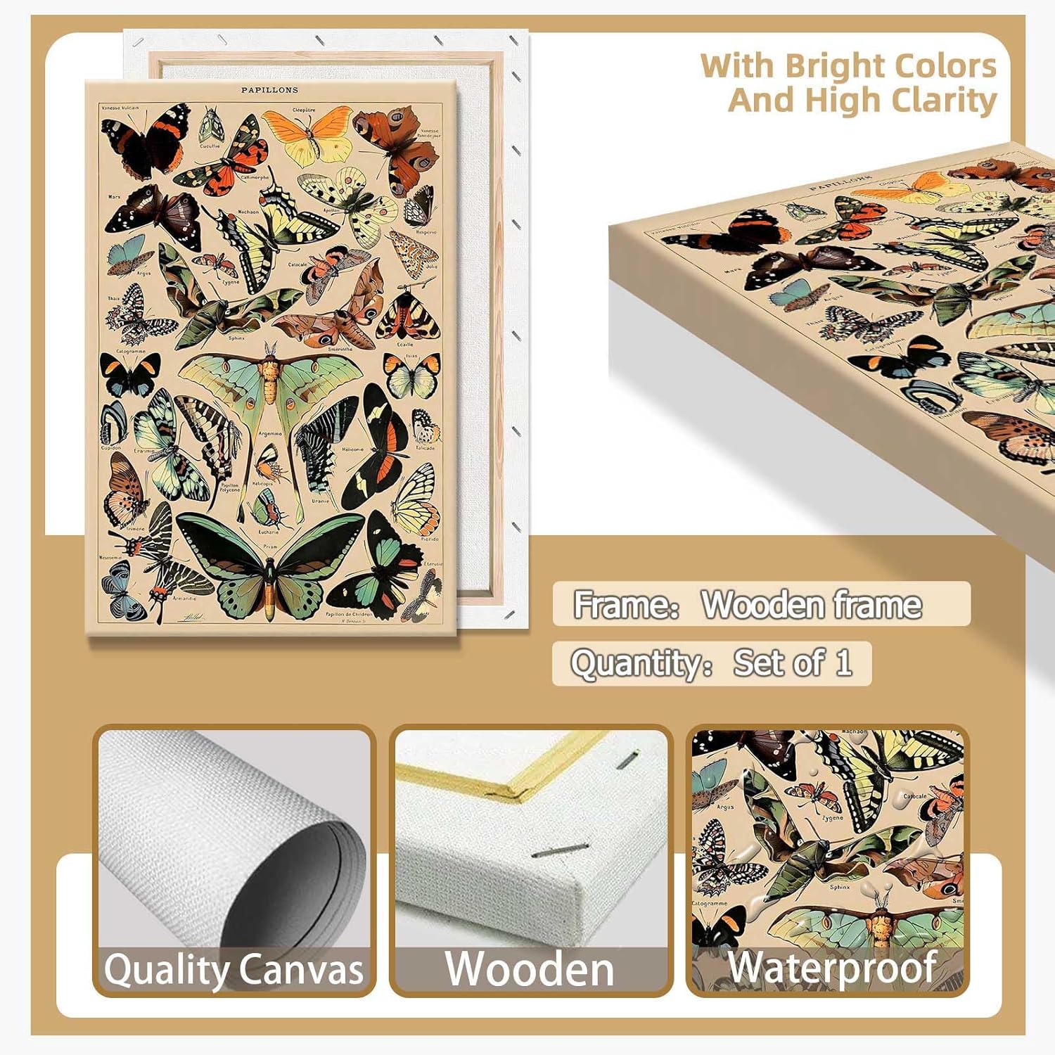 North American Butterfly Atlas Framed Poster 12x16in