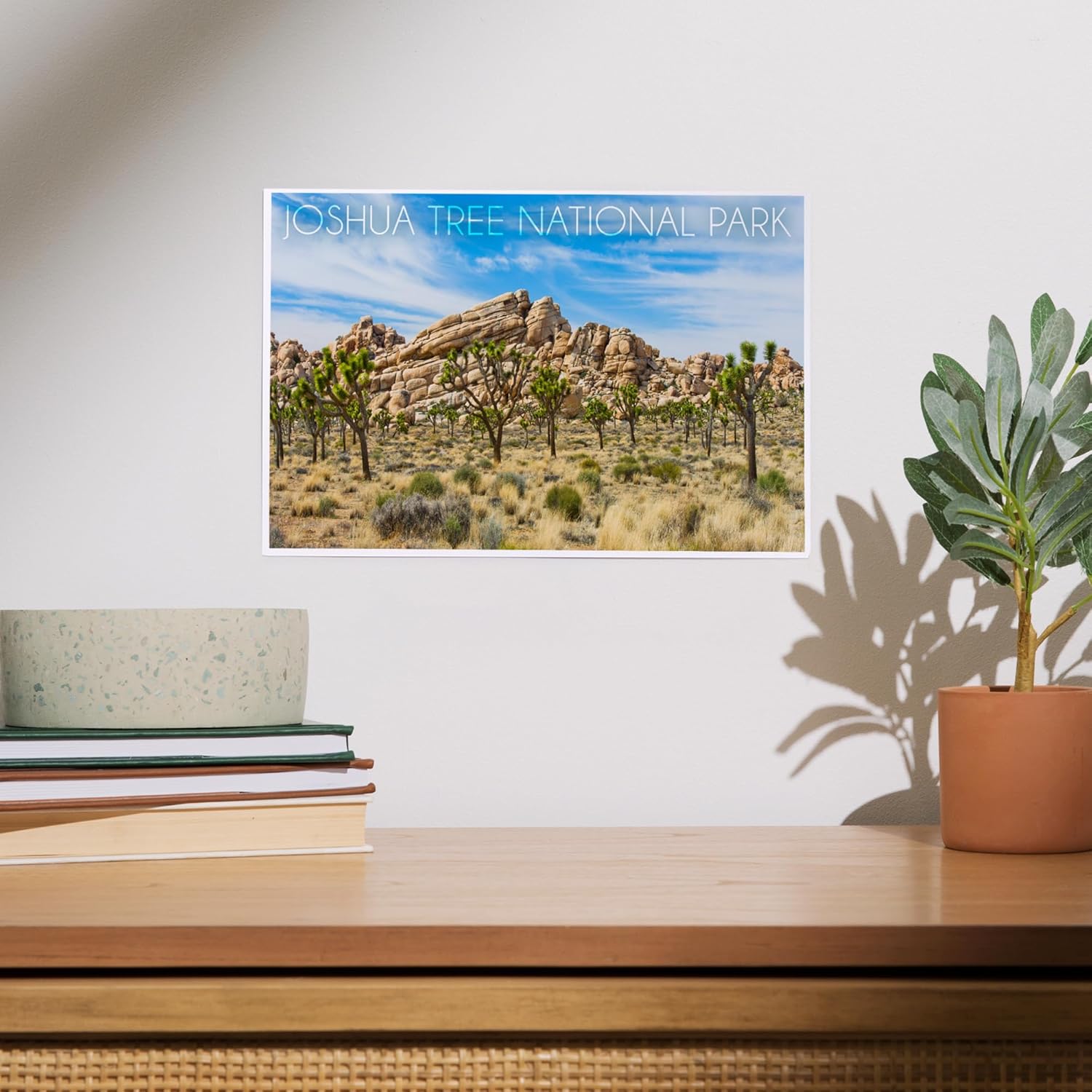 Lantern Press 8x12 Art Print of Joshua Tree National Park 1