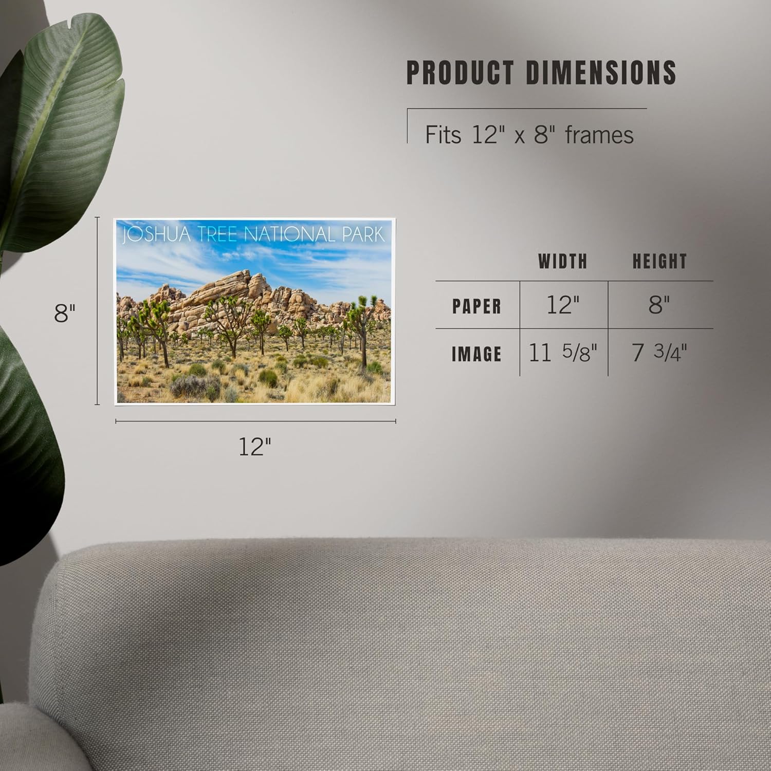 Lantern Press 8x12 Art Print of Joshua Tree National Park 1