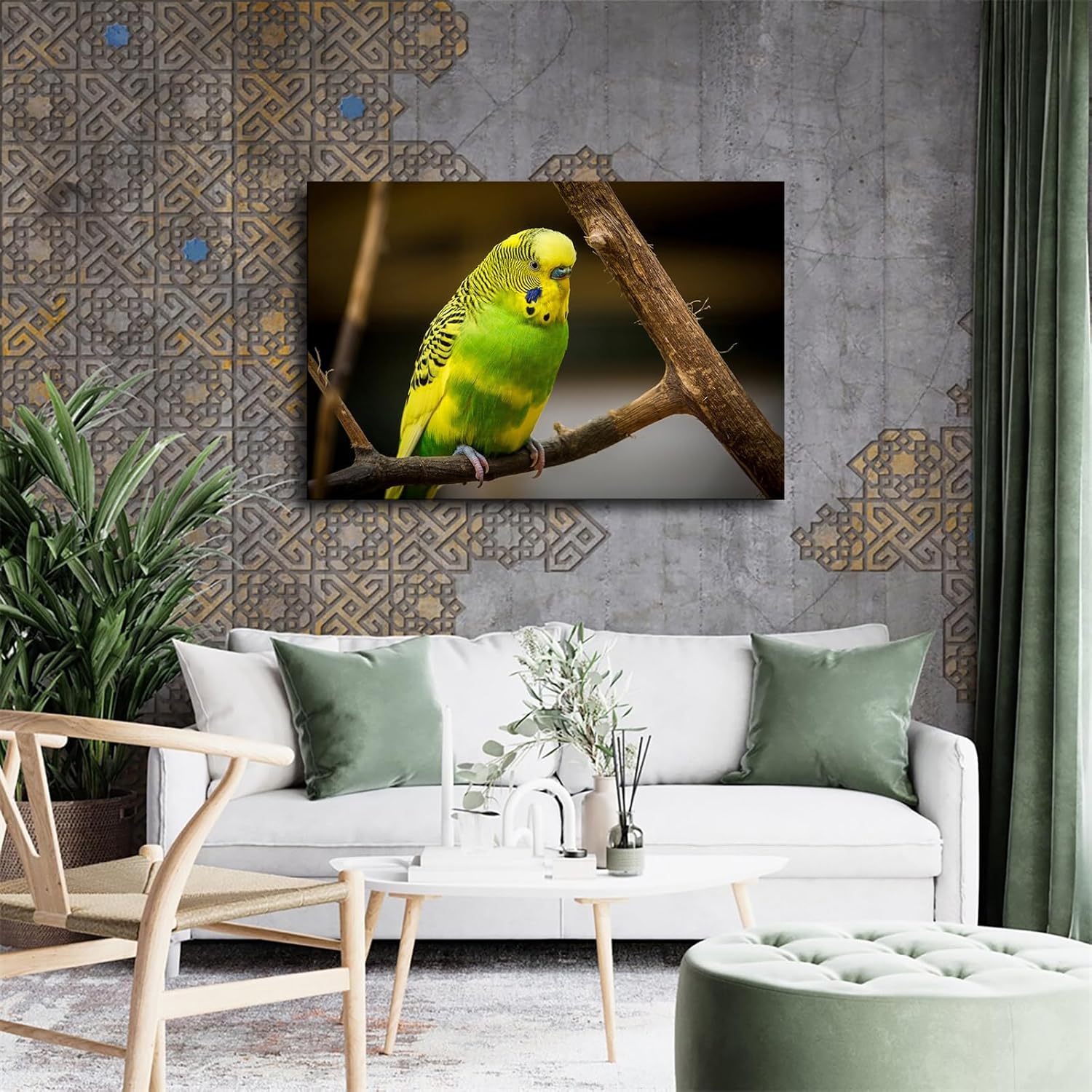 Cute Bird Parakeet Parrot Wall Art Poster Canvas Print Framed 20x30inch