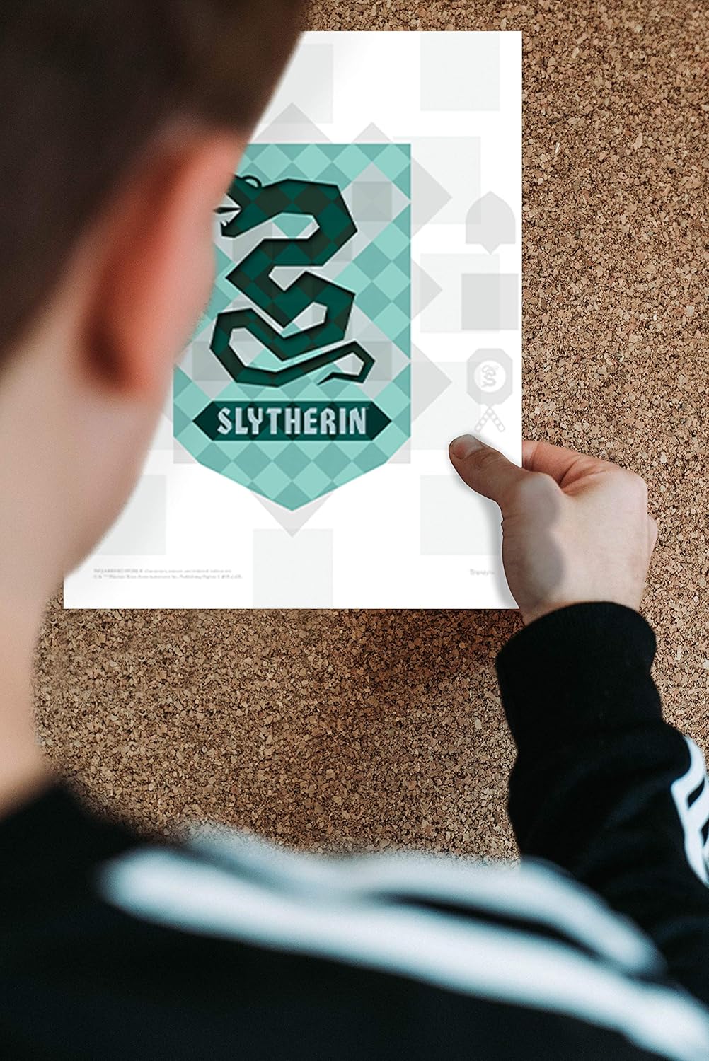 TRENDYPRINT Hogwarts House Flags Set of Four Wall Art
